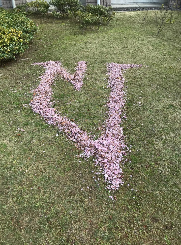 image_1