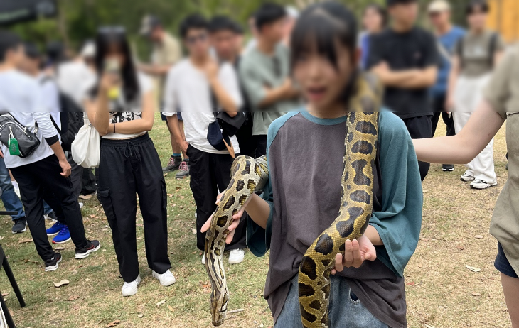 image_3
