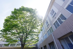 受験生のみなさまへ